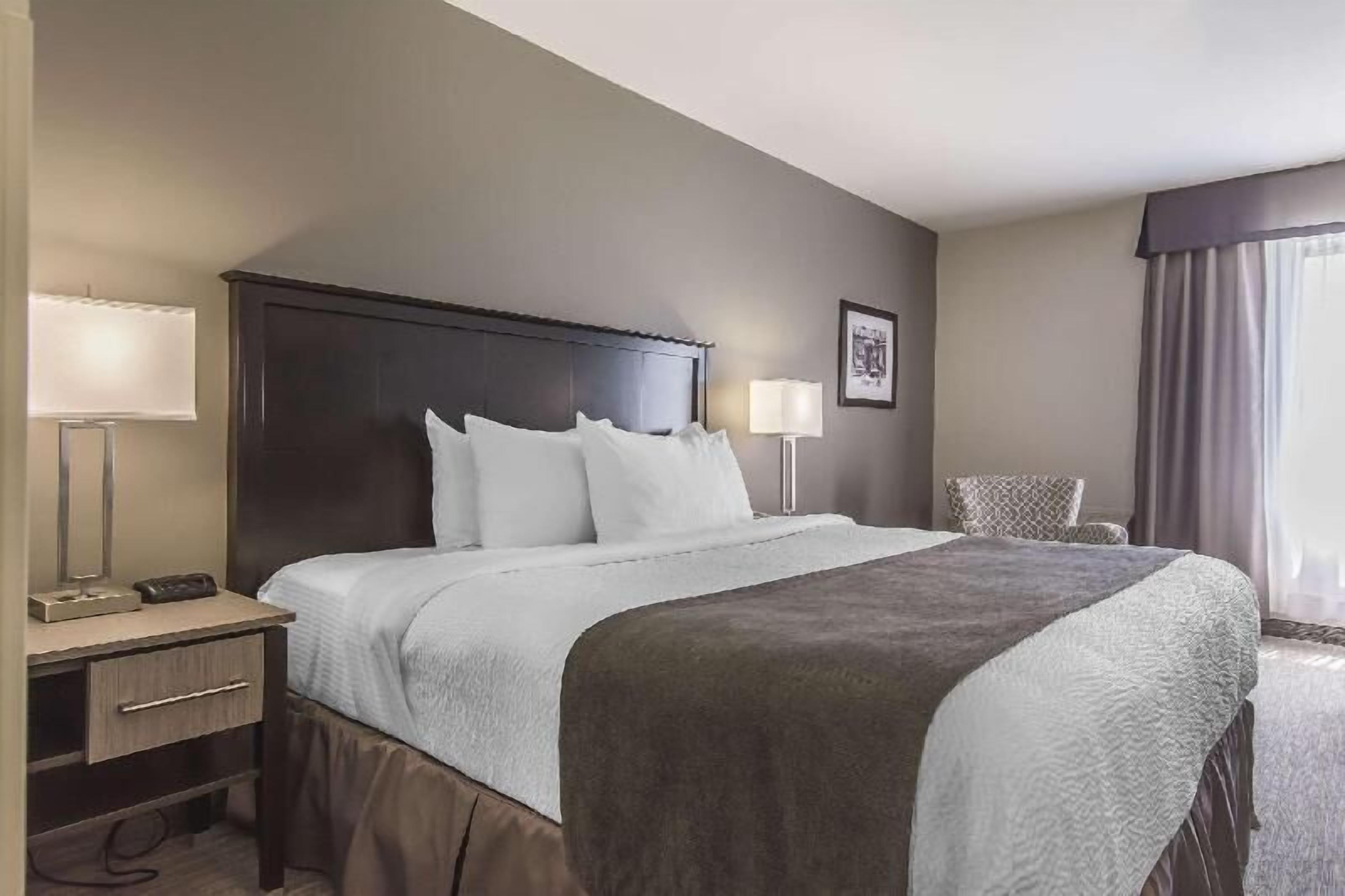 Premium bedding, in-room safe, desk, iron/ironing board