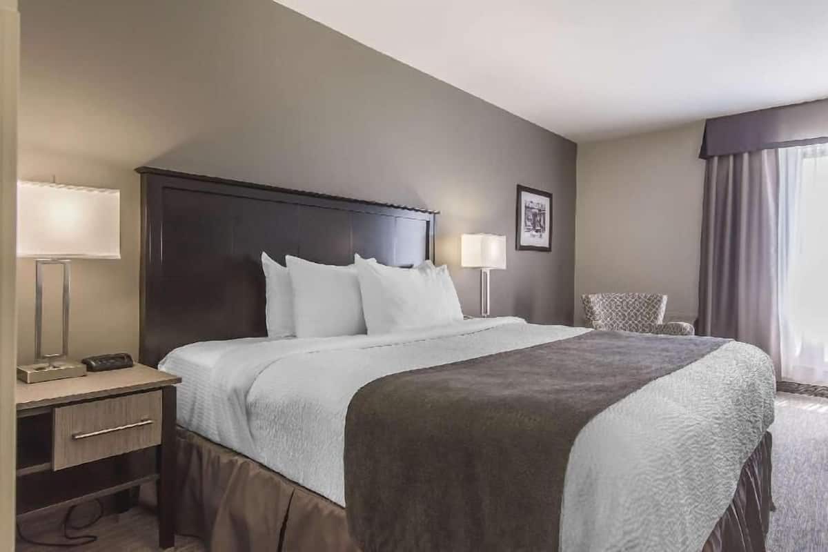 Premium bedding, in-room safe, desk, iron/ironing board