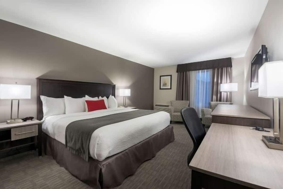 Ropa de cama de alta calidad y caja de seguridad en la habitación