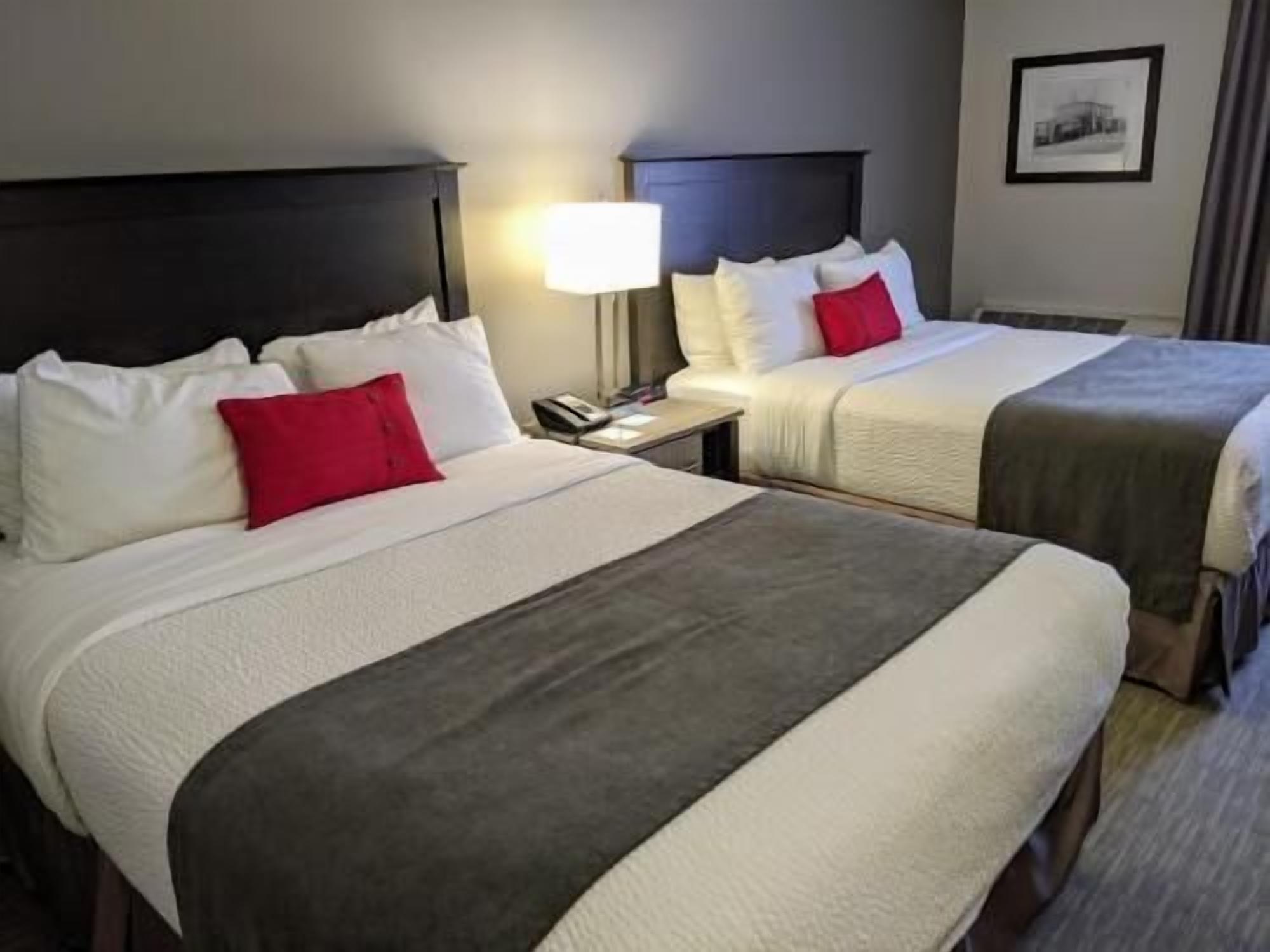 Premium bedding, in-room safe, desk, iron/ironing board