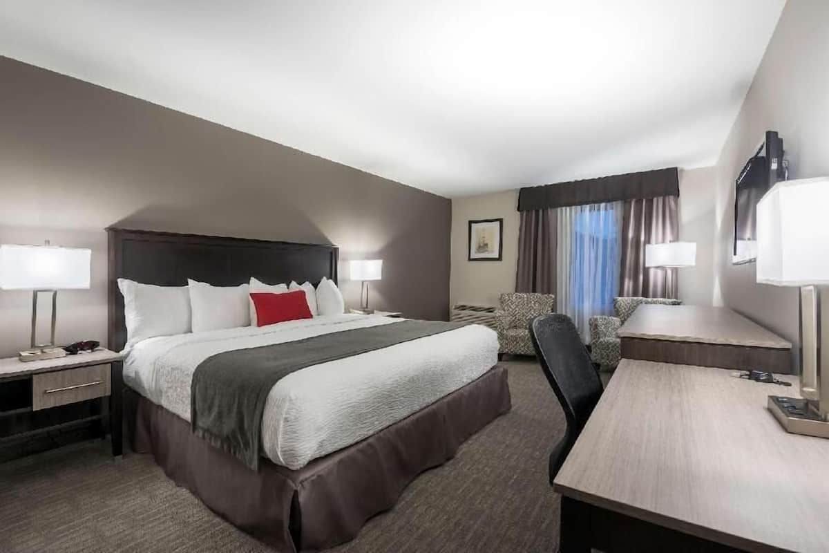 Premium bedding, in-room safe, desk, iron/ironing board