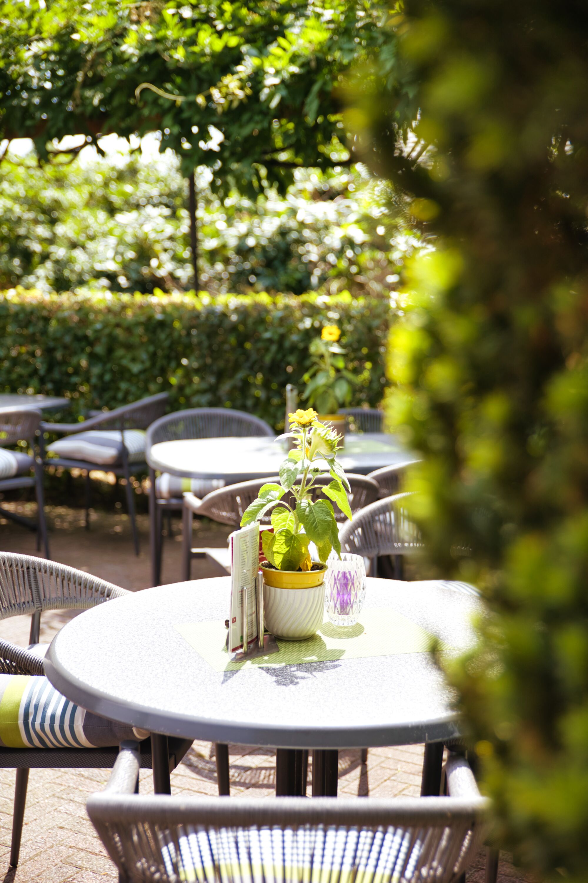 An outdoor seating area with round tables and chairs, a potted plant, and a menu stand.
