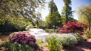 Un jardin avec un étang, différentes plantes et des arbres.