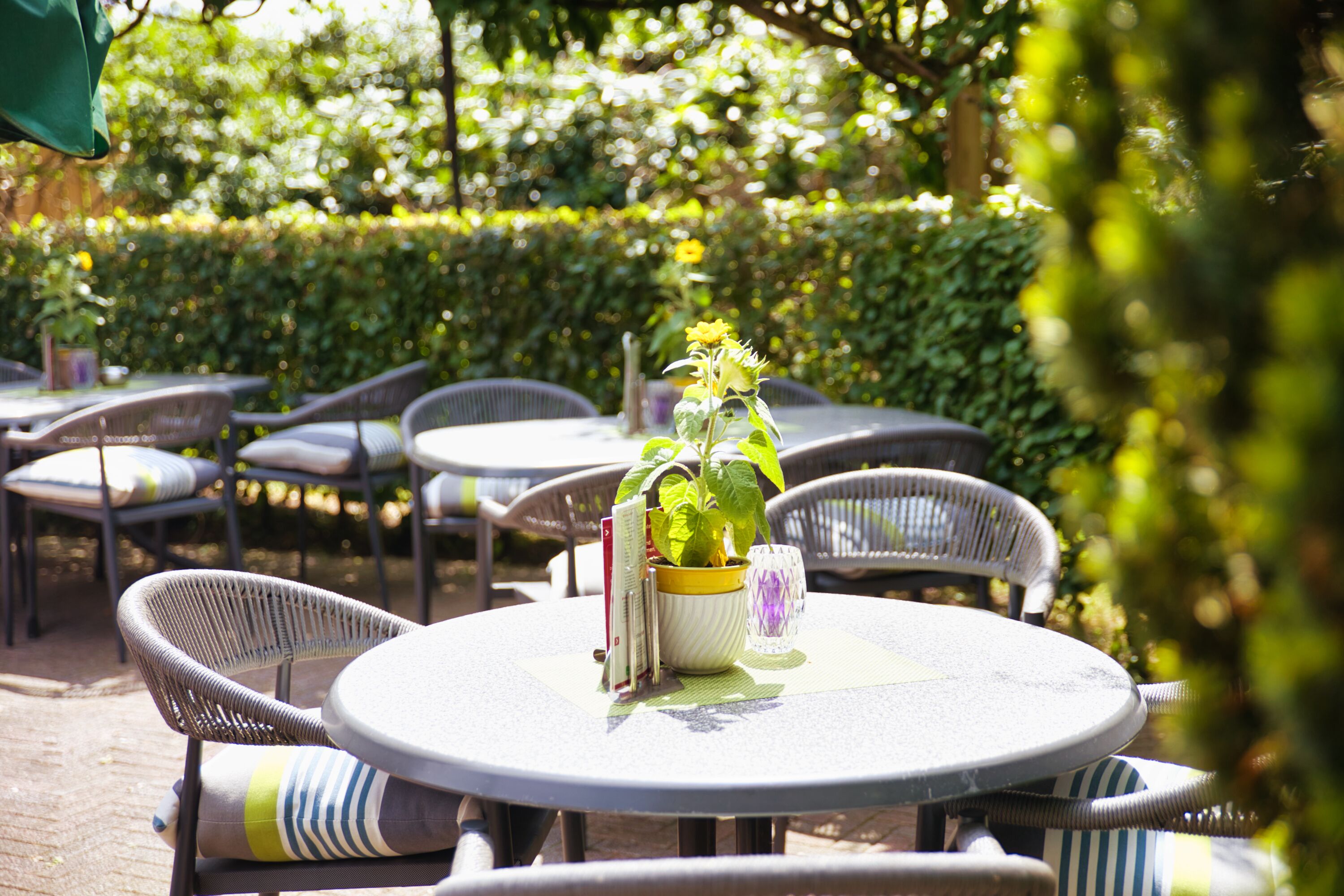 An outdoor seating area with round tables and wicker chairs, a potted plant, and a glass on the table.