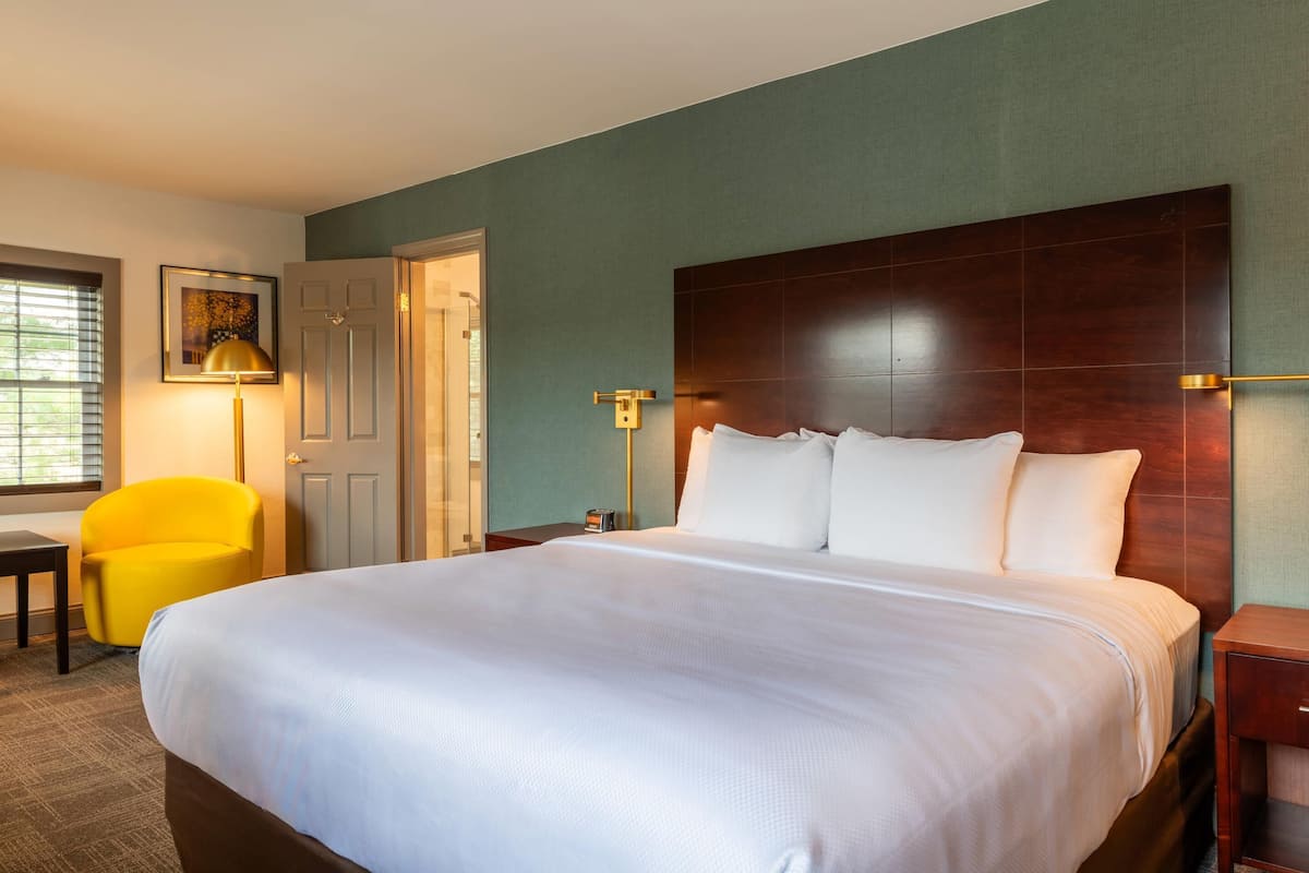 Suite, 1 King Bed, Non Smoking | Desk, blackout curtains, iron/ironing board, rollaway beds