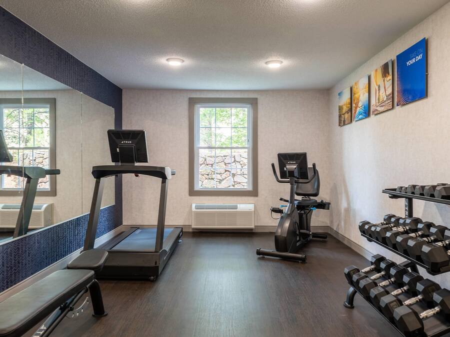 Una palestra con tapis roulant, ellittiche e manubri.