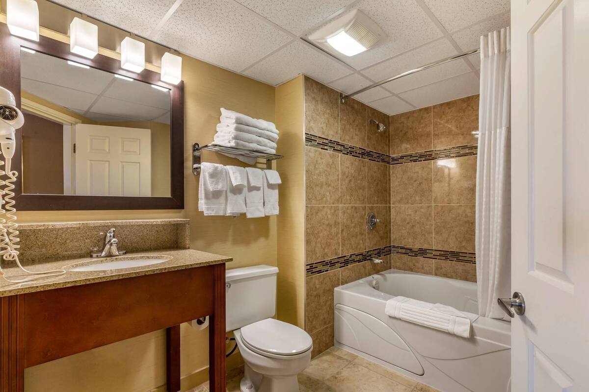 Standard Room, 1 King Bed, Non Smoking | Desk, blackout drapes, iron/ironing board, rollaway beds (surcharge)