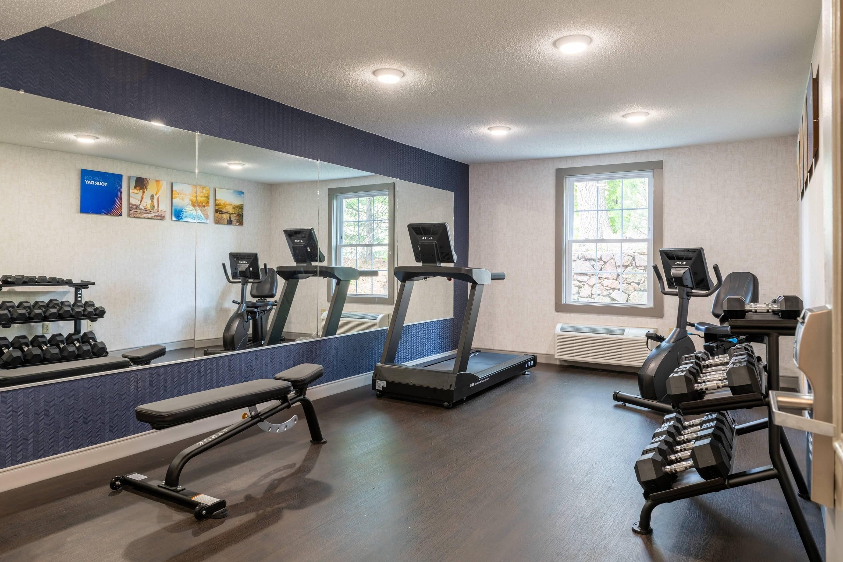 A gym with treadmills, dumbbells, and a bench.