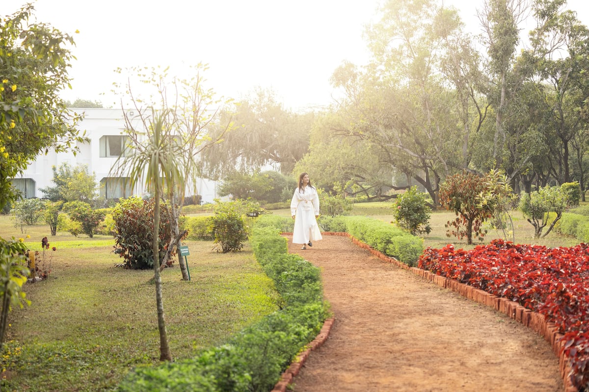 Pemandangan taman