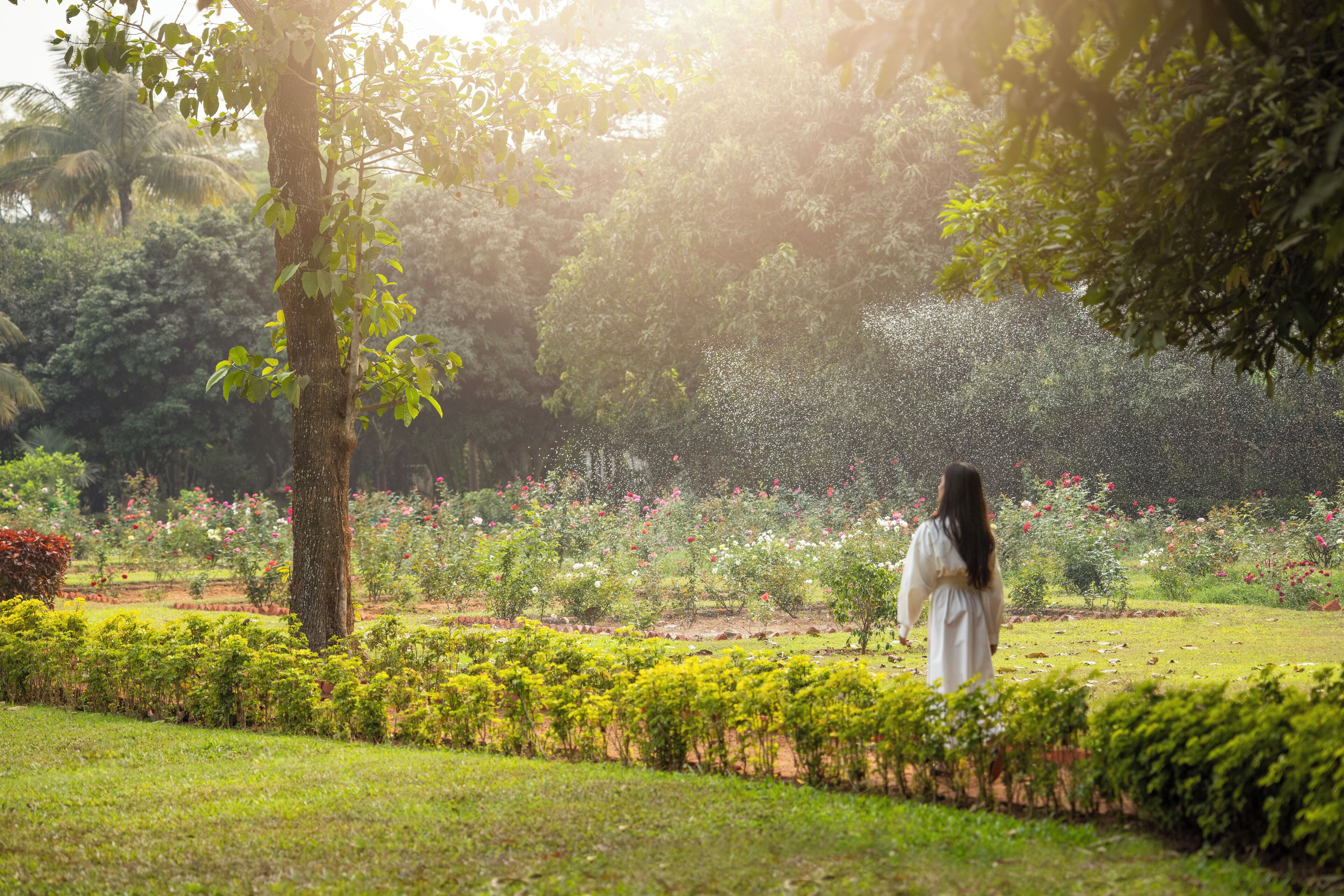 deluxe room | garden view