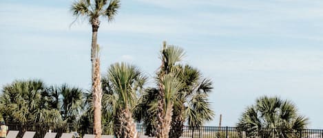 Außenpool, geöffnet von 08:00 Uhr bis 00:00 Uhr, Sonnenschirme