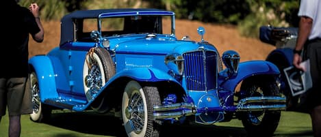 A vintage blue car with chrome details parked on a grassy area.