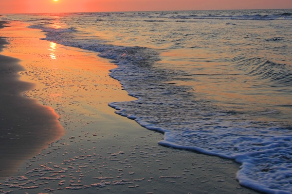 On the beach, white sand, beach volleyball, beach bar