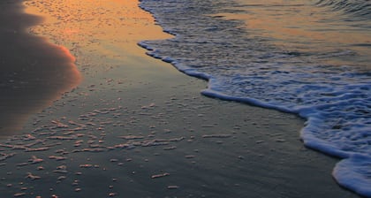 Beach House Resort Hilton Head