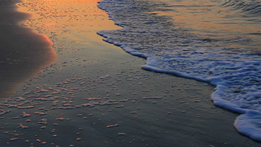 Beach House Resort Hilton Head