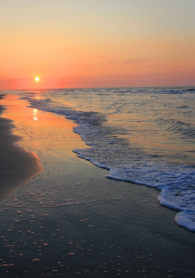 Beach House Resort Hilton Head