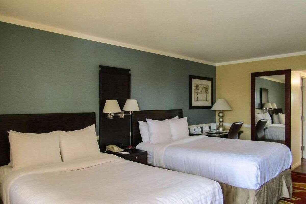 Premium bedding, desk, blackout drapes, iron/ironing board