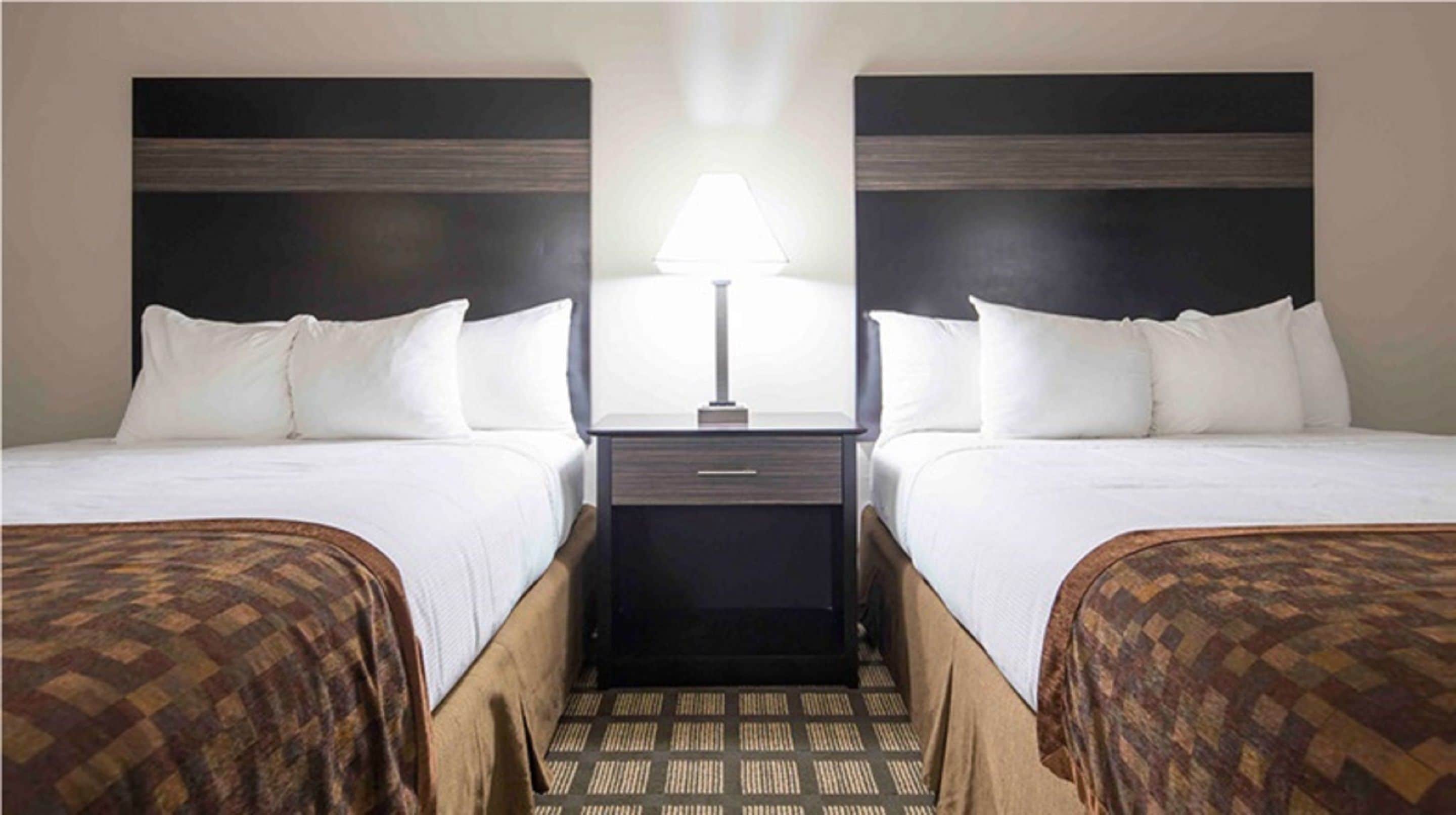 A hotel room with two beds, a nightstand with a lamp, and a patterned carpet.