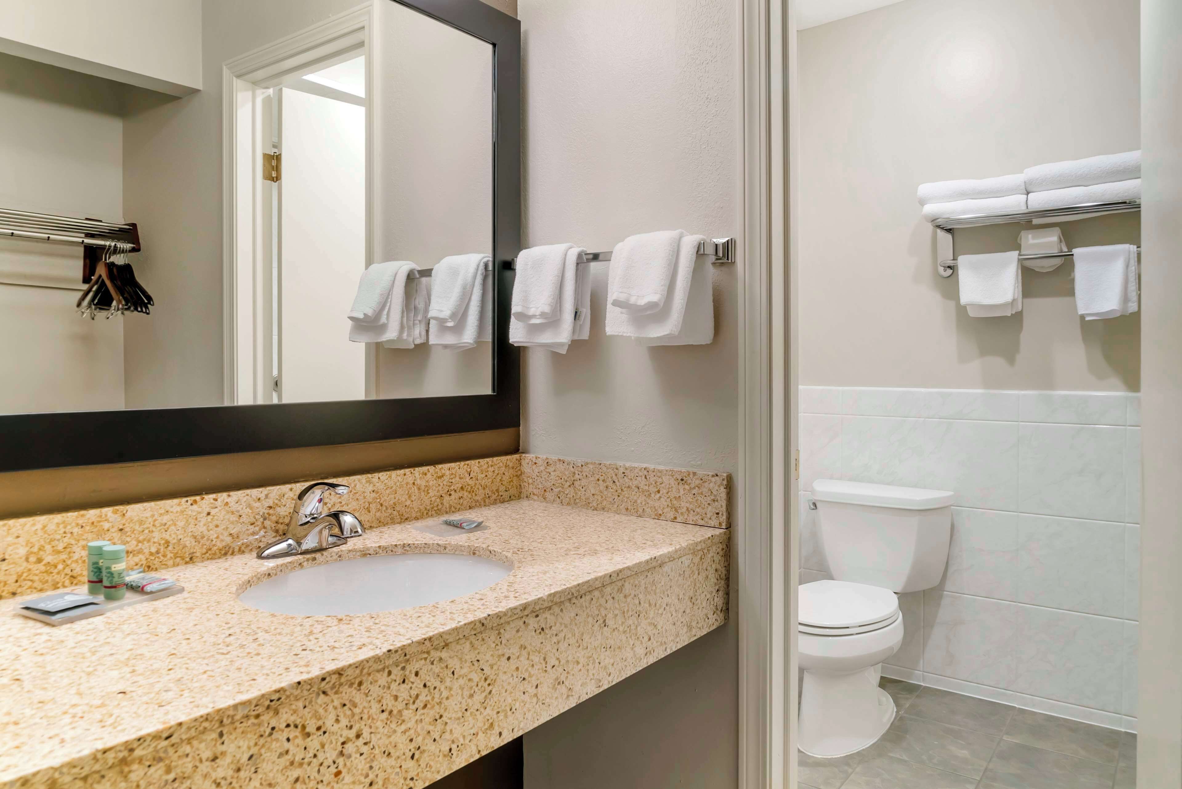 standard room, 1 king bed, jetted tub, courtyard view | bathroom | combined shower/bathtub, free toiletries, hair dryer, towels