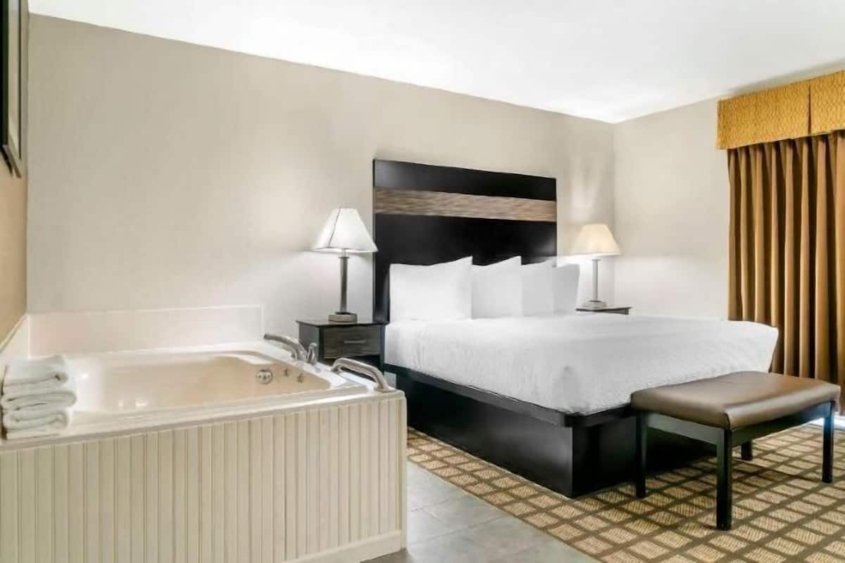 Hypo-allergenic bedding, iron/ironing board, WiFi, bed sheets