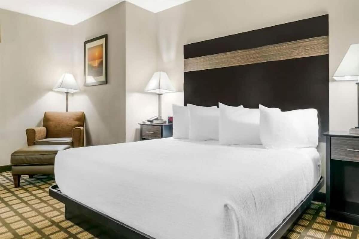 Hypo-allergenic bedding, iron/ironing board, WiFi, bed sheets