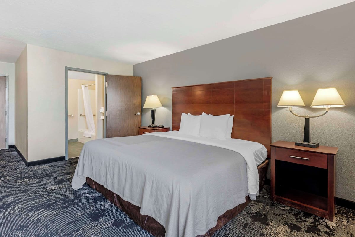 Room, 1 King Bed, Accessible, Non Smoking