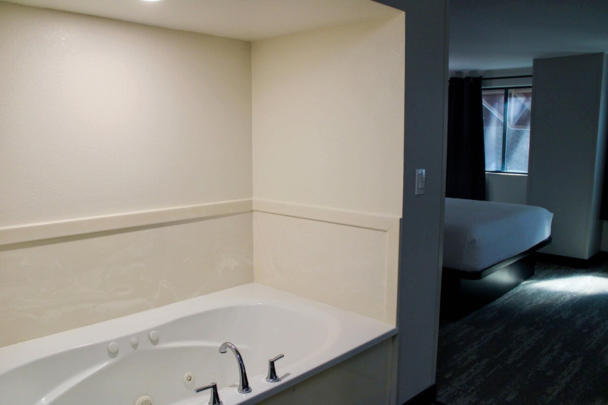 Ein Zimmer mit Badewanne, einem Bett und einem fensterbepflanzten Fenster.