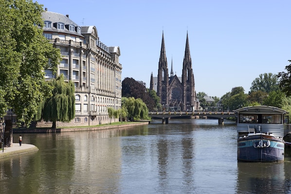 Tours en segway