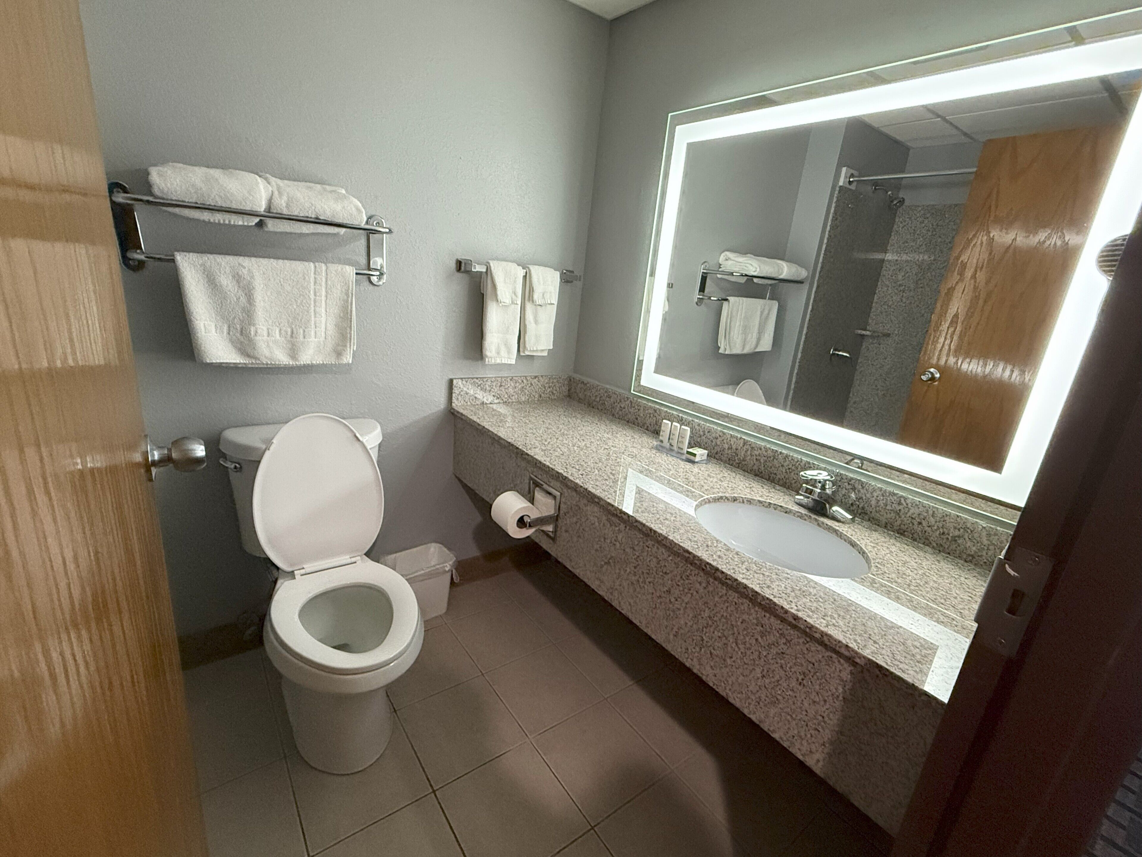 business room, 1 king bed, non smoking | bathroom | shower, free toiletries, hair dryer, towels