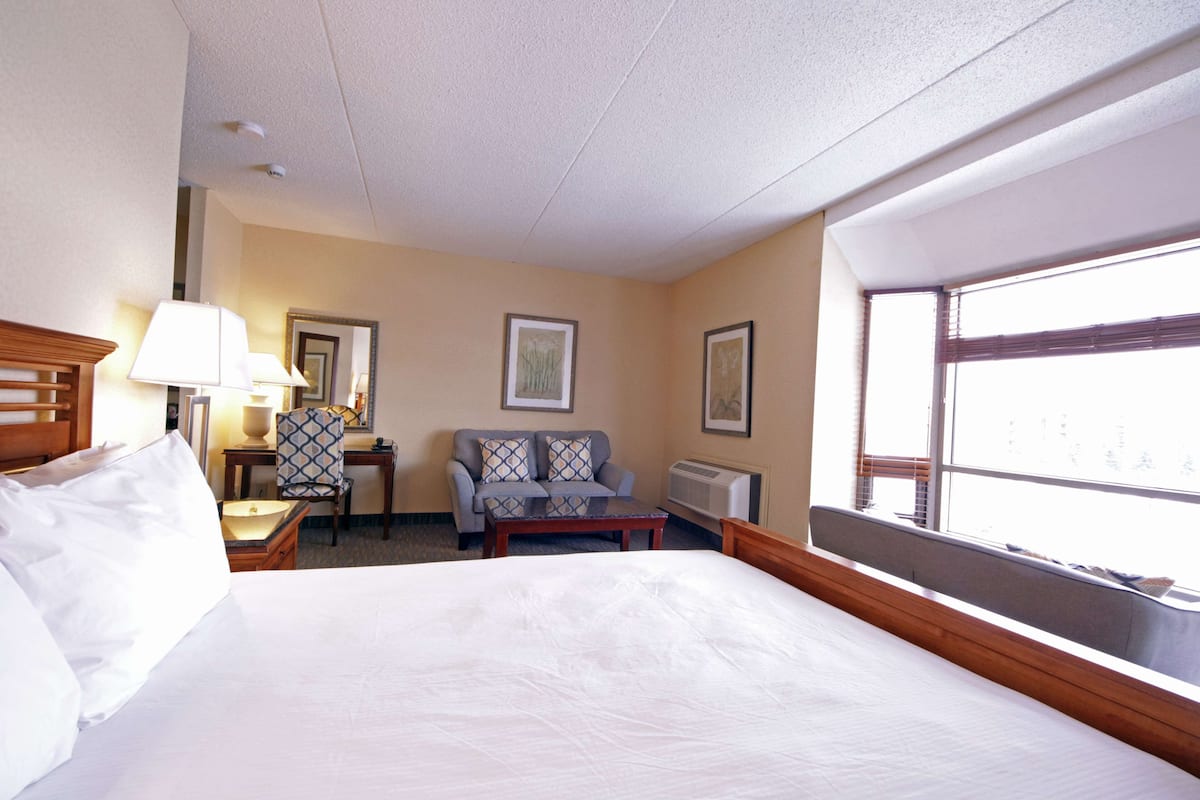Suite, 1 Queen Bed, Non Smoking, Jetted Tub (Walk-in Shower) | 1 bedroom, desk, blackout drapes, iron/ironing board