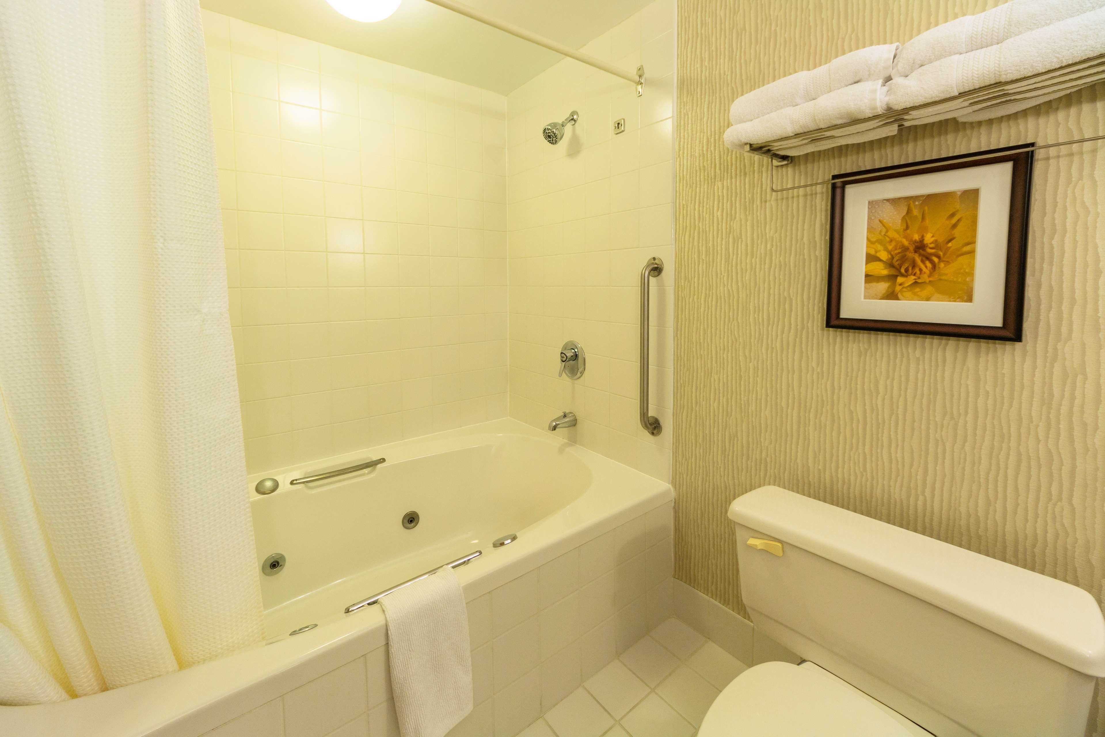 Un baño con bañera, inodoro y un cuadro en la pared.