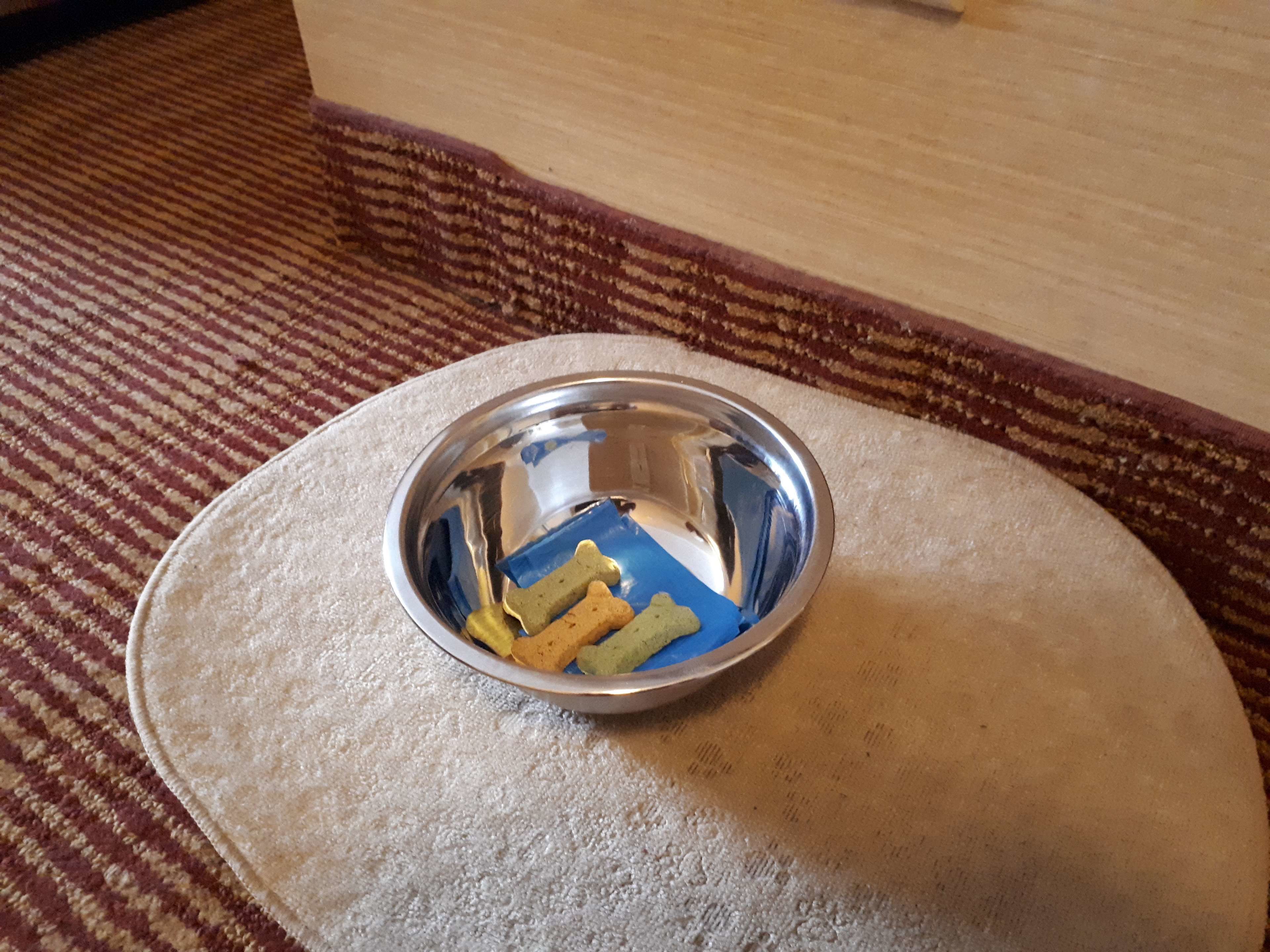 standard room, 2 double beds, non smoking, refrigerator (pet friendly) | desk, blackout curtains, iron/ironing board, free wifi