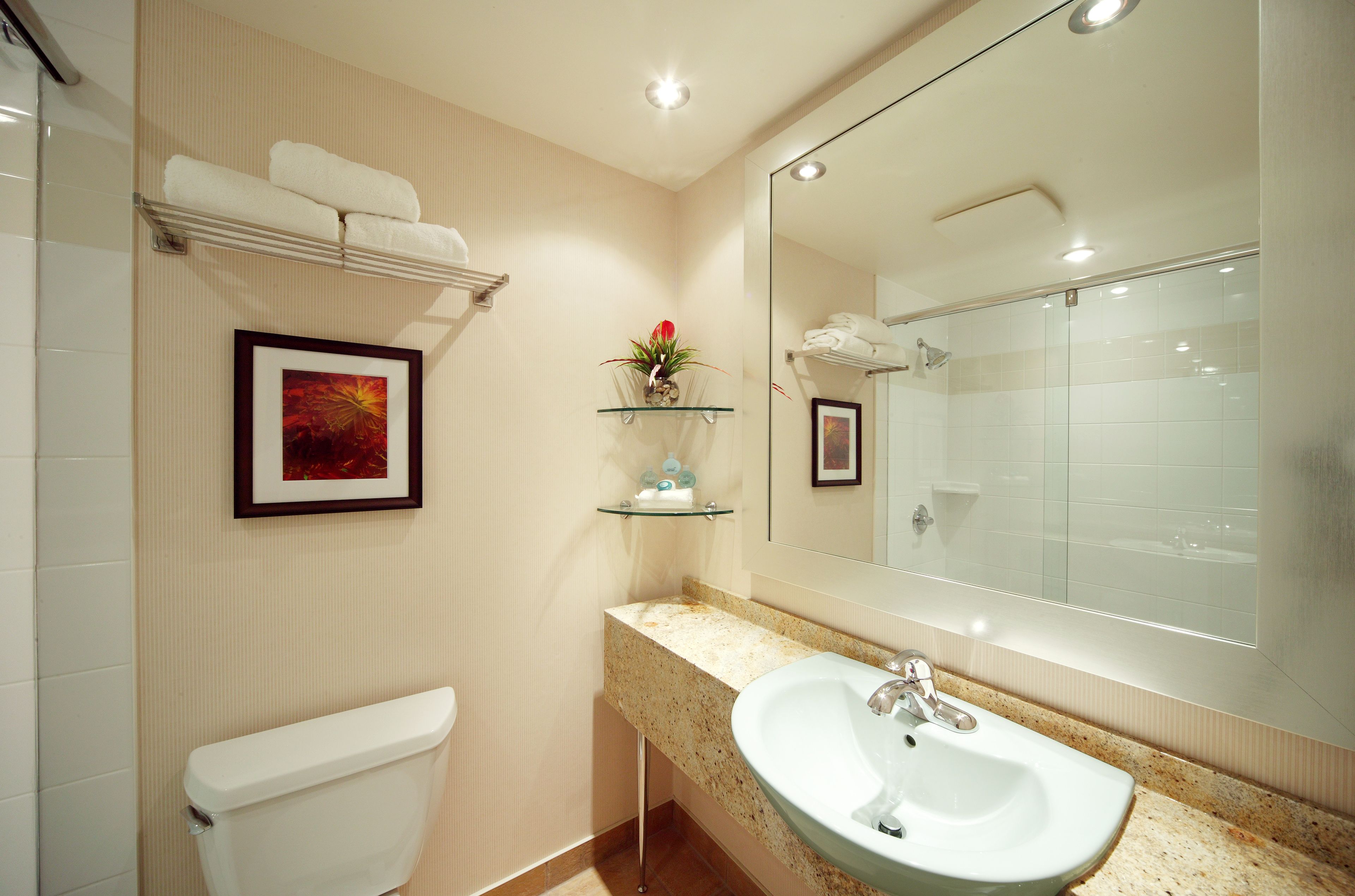 executive room, 1 king bed, non smoking, refrigerator (walk-in shower) | bathroom | eco-friendly toiletries, hair dryer, towels