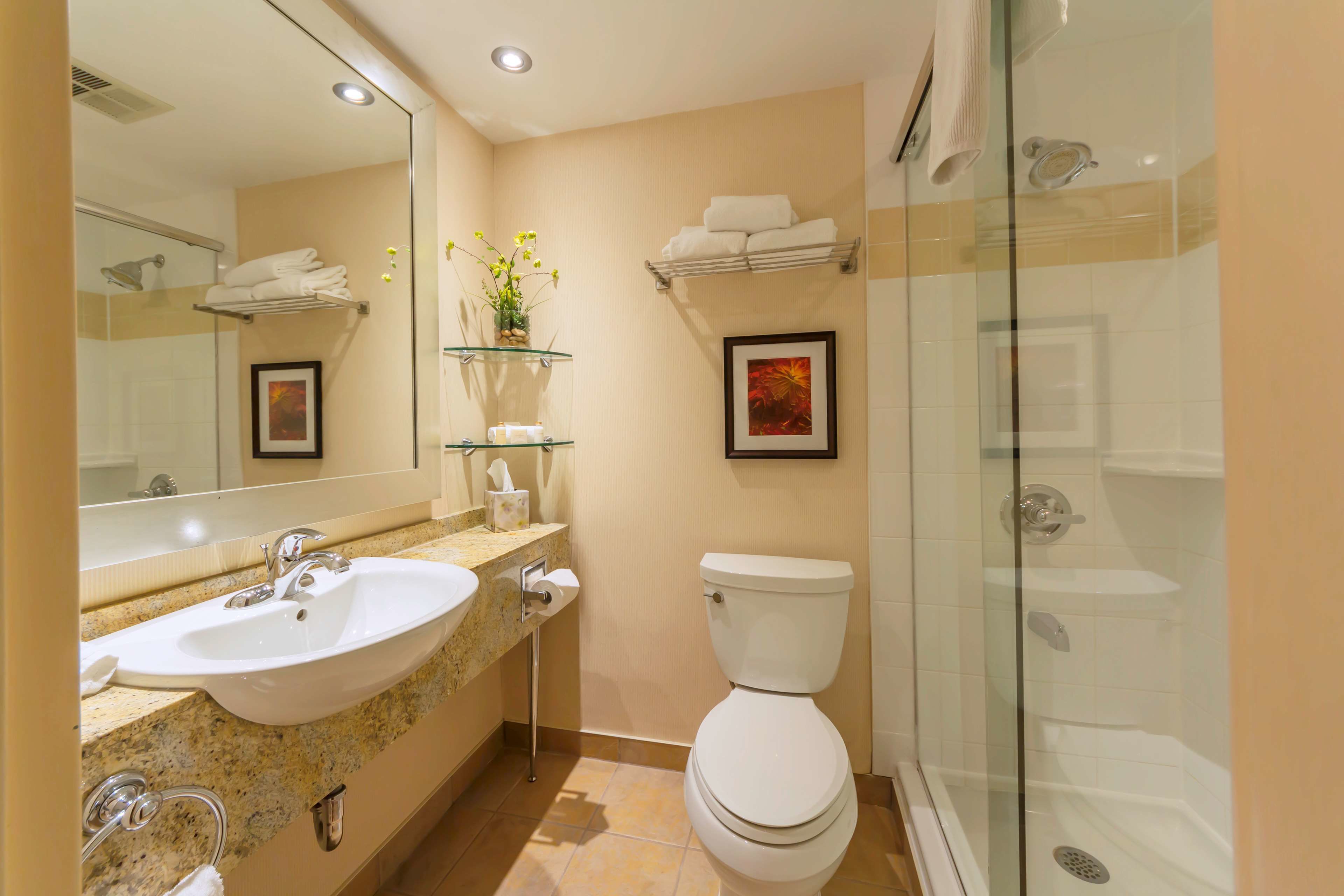 executive room, 1 king bed, non smoking, refrigerator (walk-in shower) | bathroom | eco-friendly toiletries, hair dryer, towels