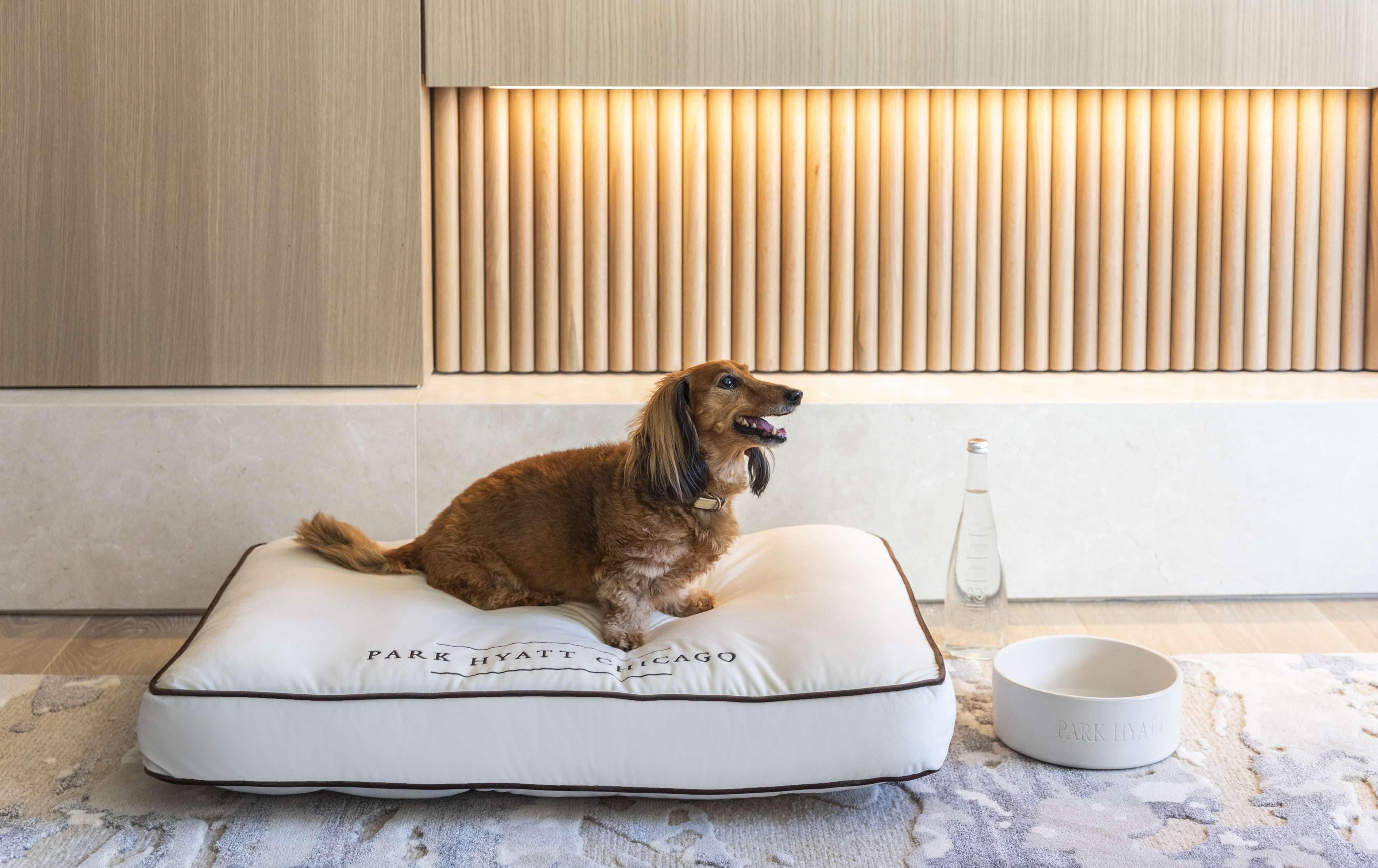 1 bedroom, premium bedding, down duvets, pillow-top beds