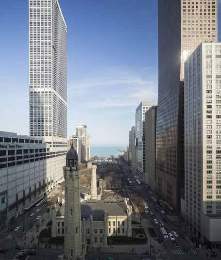 Park Hyatt Chicago - Image 2