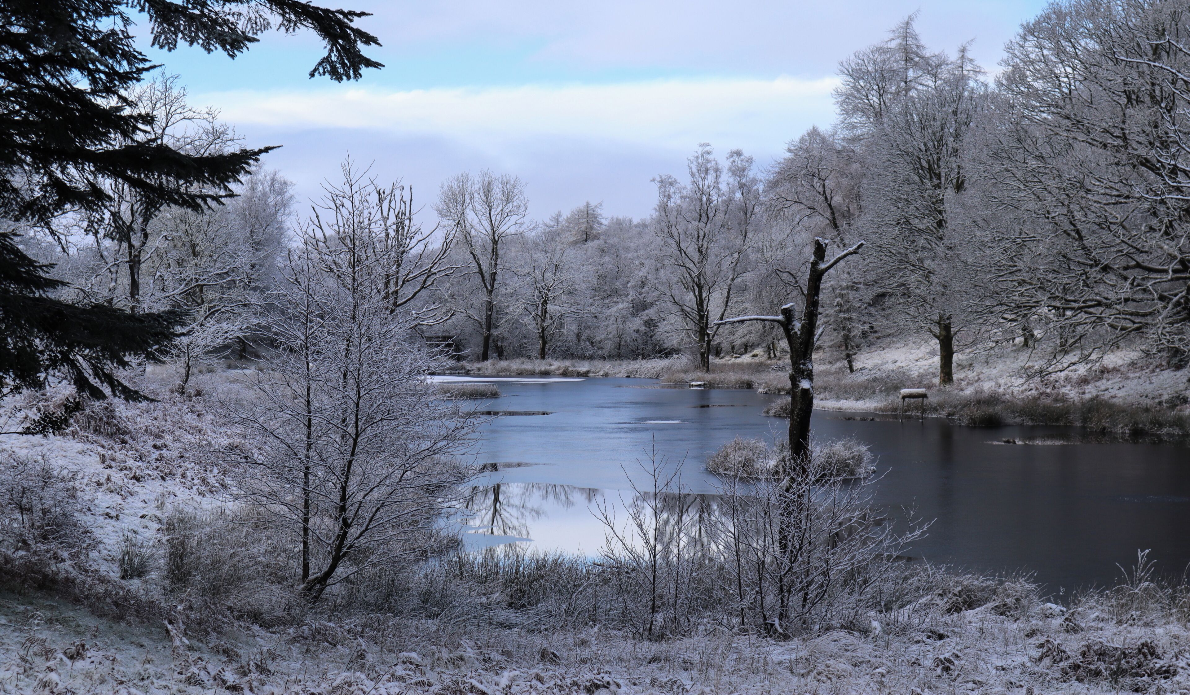 A serene winter landscape with a frozen river, snow-covered trees, and a bench by the water.