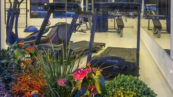 A gym with exercise equipment, a glass wall, and a garden with plants and rocks.