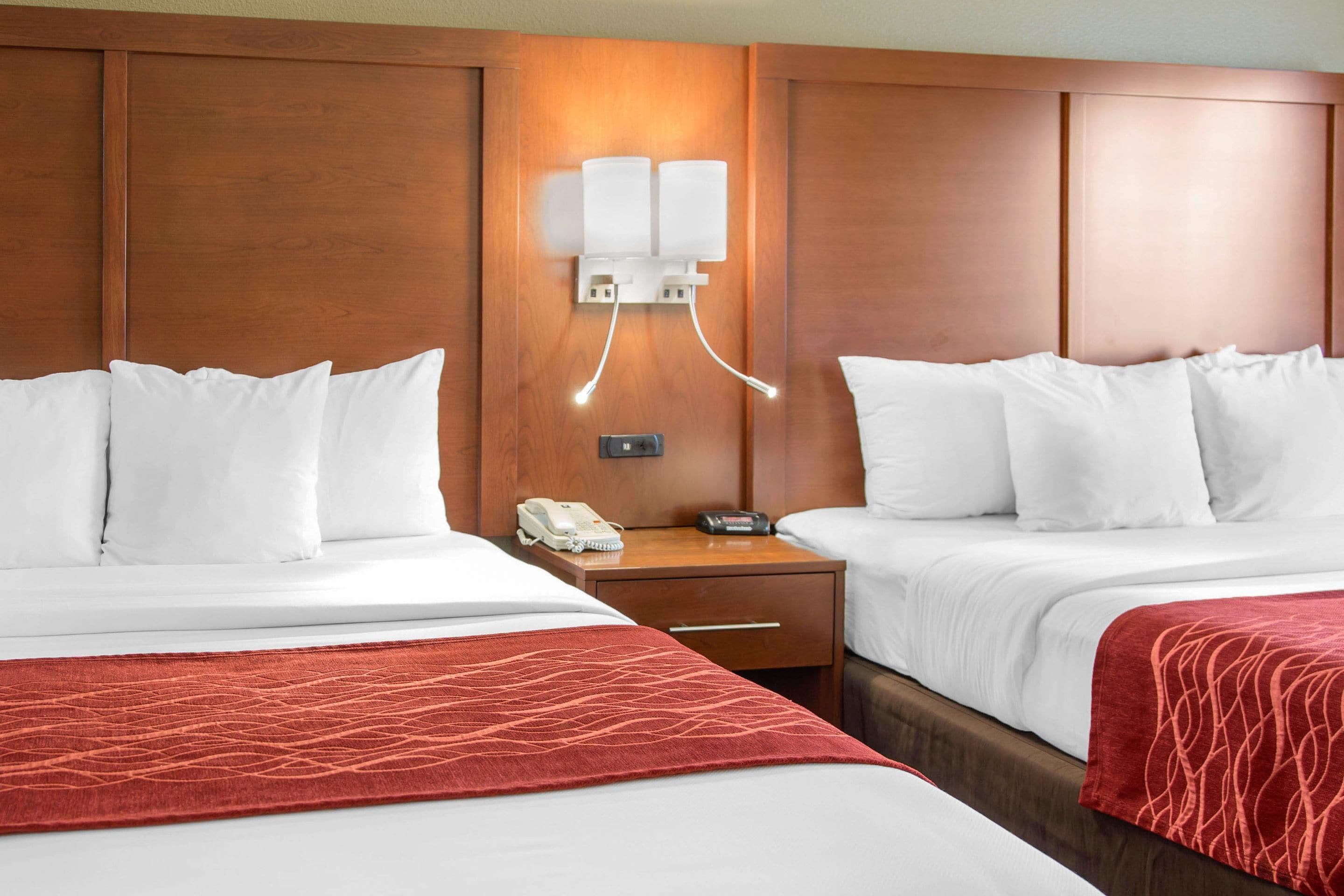 Foto - Comfort Inn & Suites San Francisco Airport North