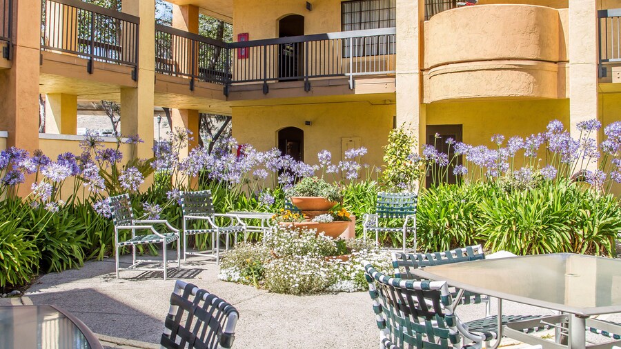 Comfort Inn and Suites San Francisco Airport North