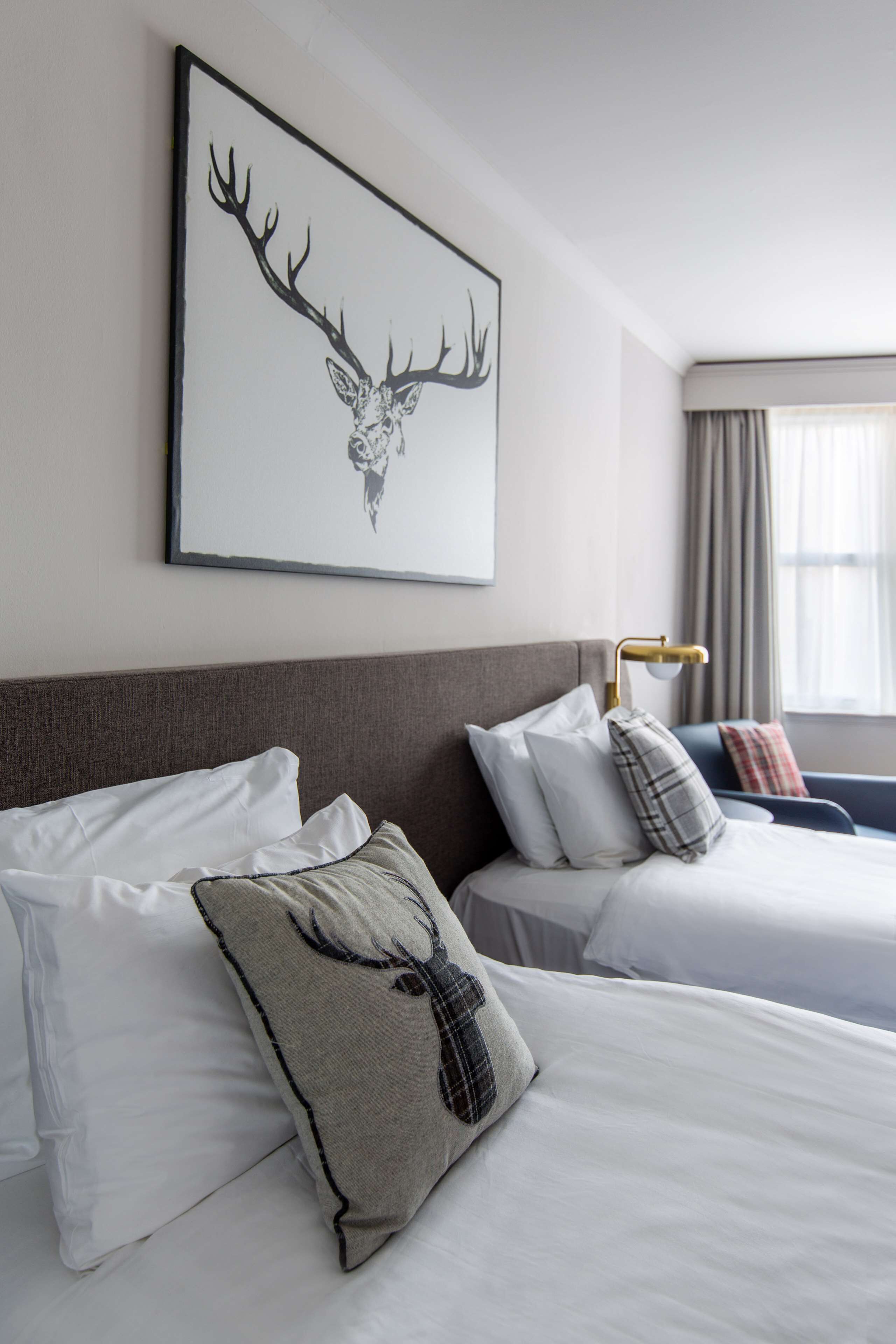 executive room, 2 single beds, non smoking | 1 bedroom, hypo-allergenic bedding, in-room safe, iron/ironing board