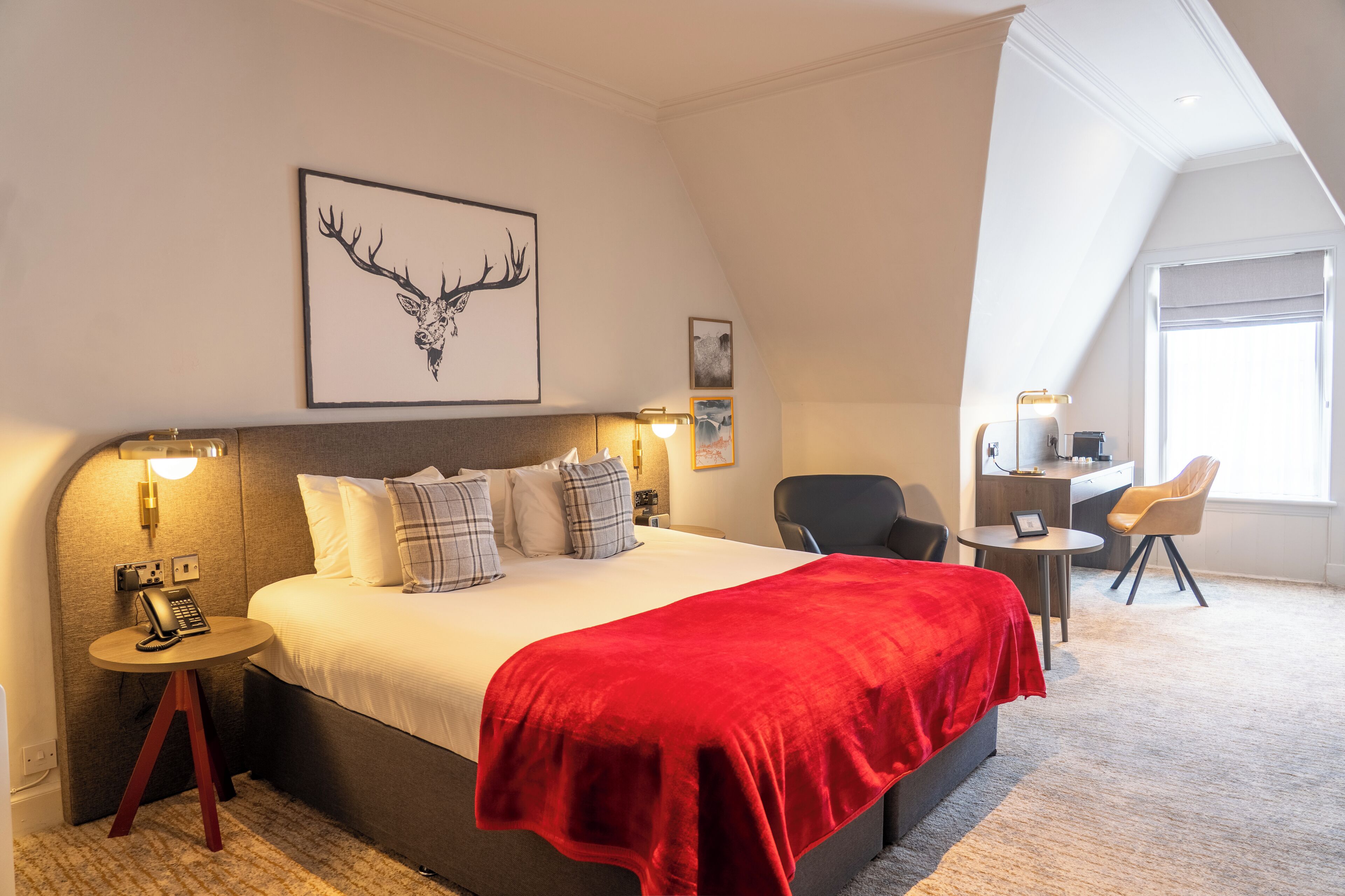 Habitación ejecutiva, 1 cama King size, para no fumadores (with Sofabed) | Ropa de cama hipoalergénica y caja de seguridad en la habitación 