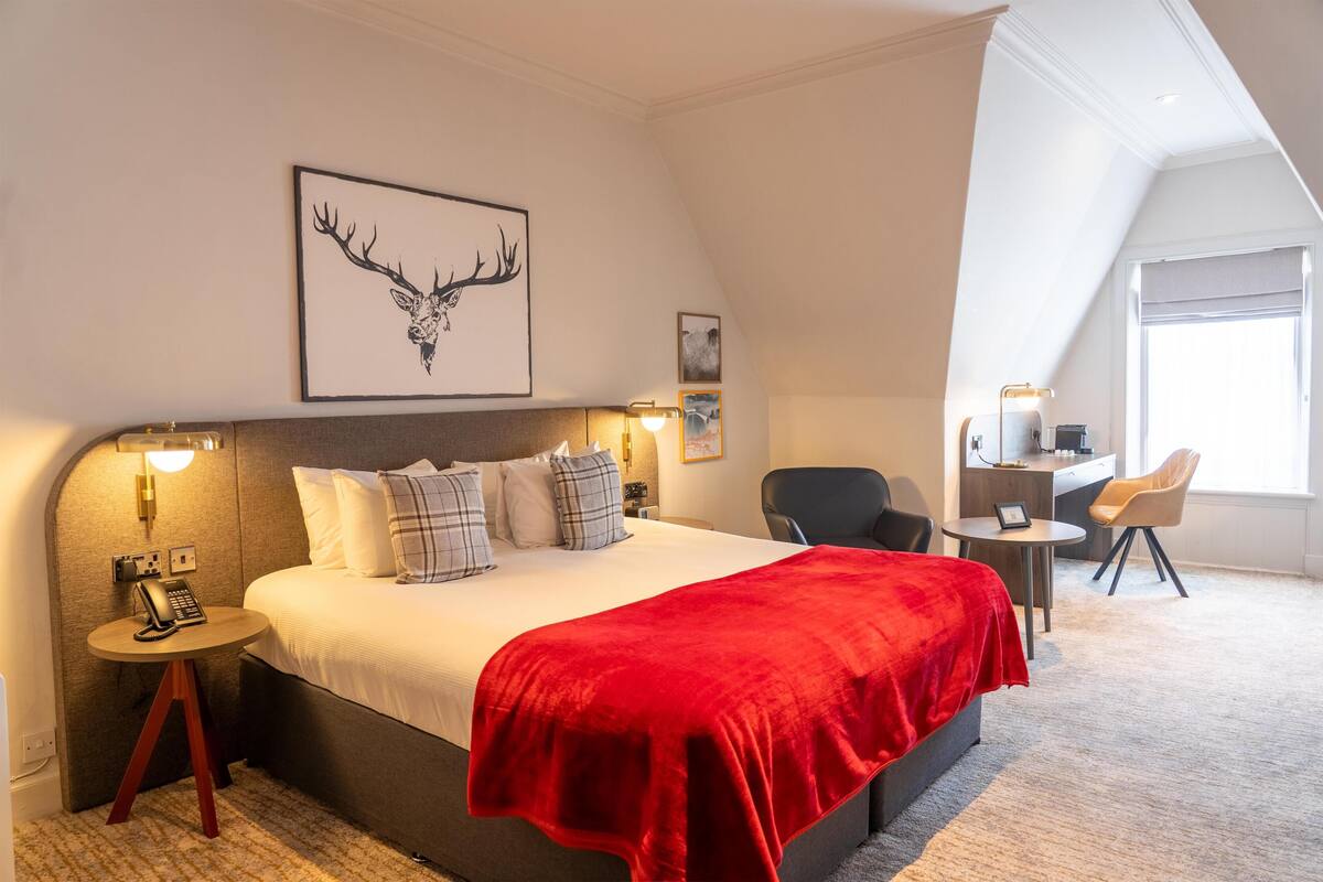 Executive kamer, 1 kingsize bed, niet-roken (with Sofabed) | Hypoallergeen beddengoed, een kluis op de kamer