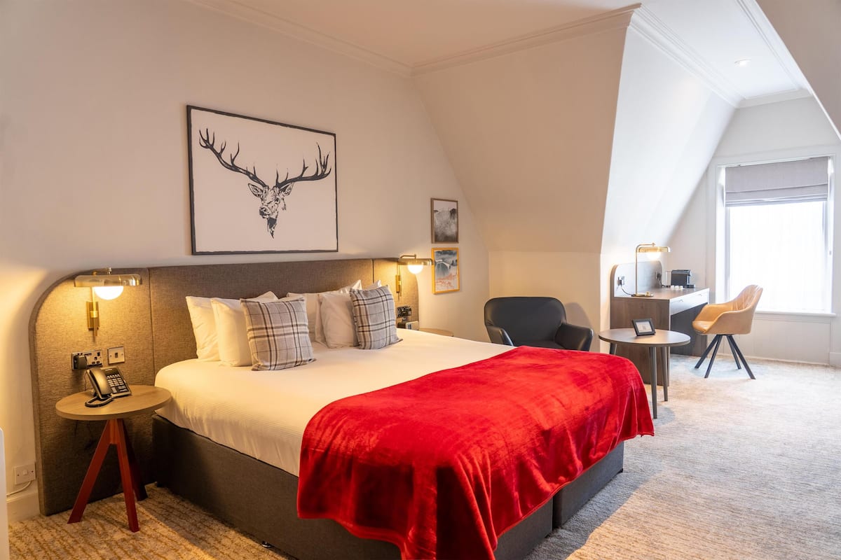 Executive Room, 1 King Bed, Non Smoking (with Sofabed) | Hypo-allergenic bedding, in-room safe, iron/ironing board