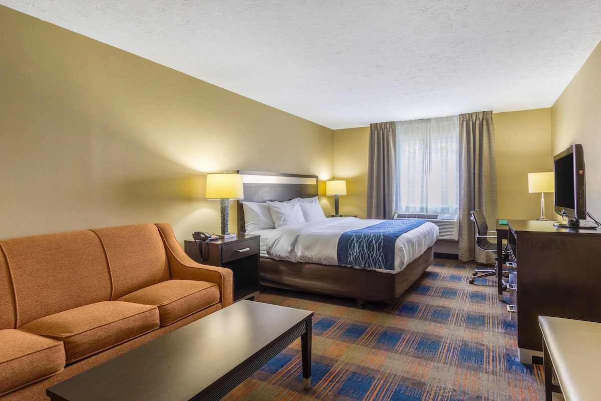 A hotel room with a bed, a sofa, a desk, and a television.
