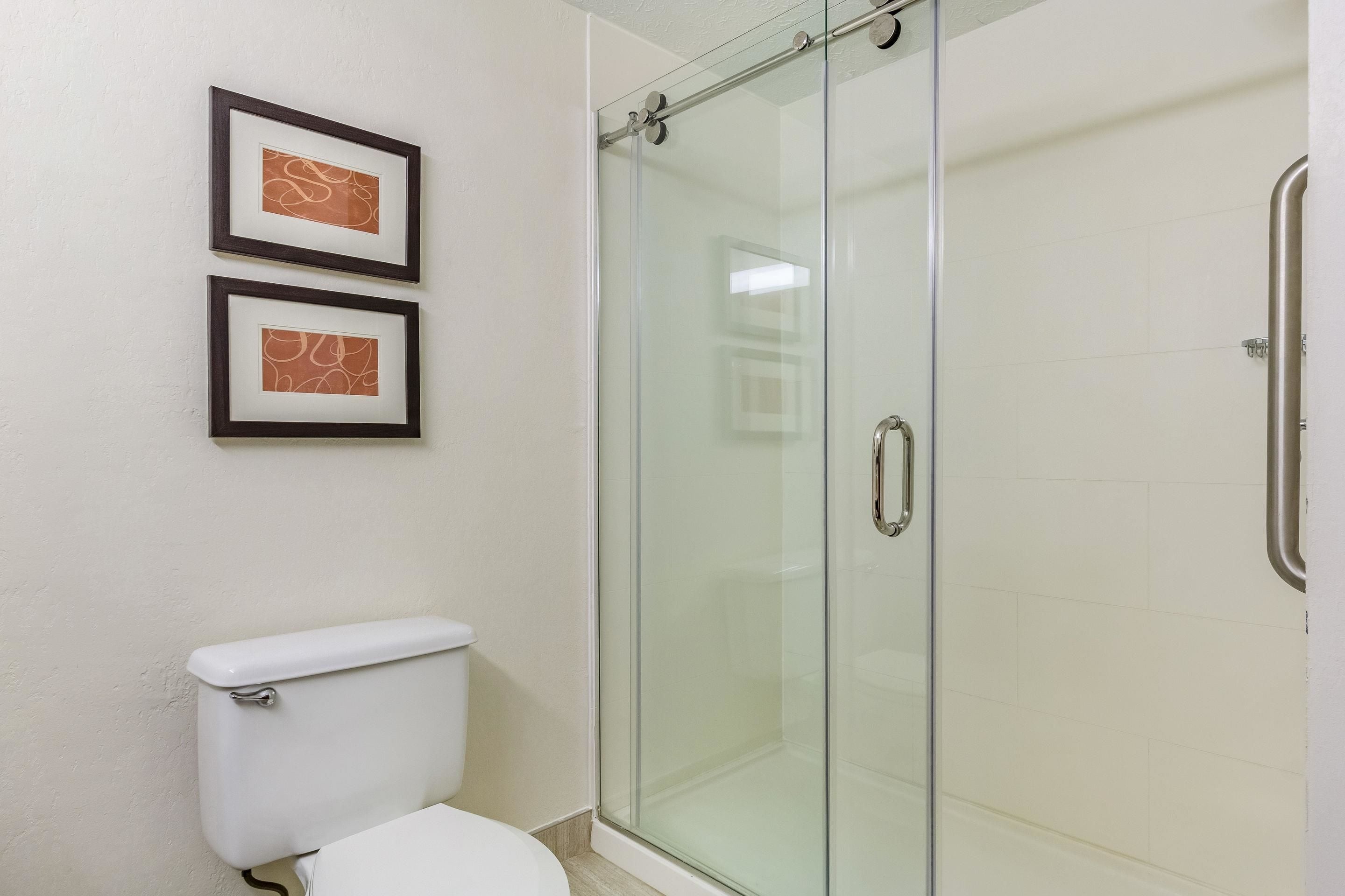 A bathroom with a glass-enclosed shower, a white toilet, and two framed pictures on the wall.