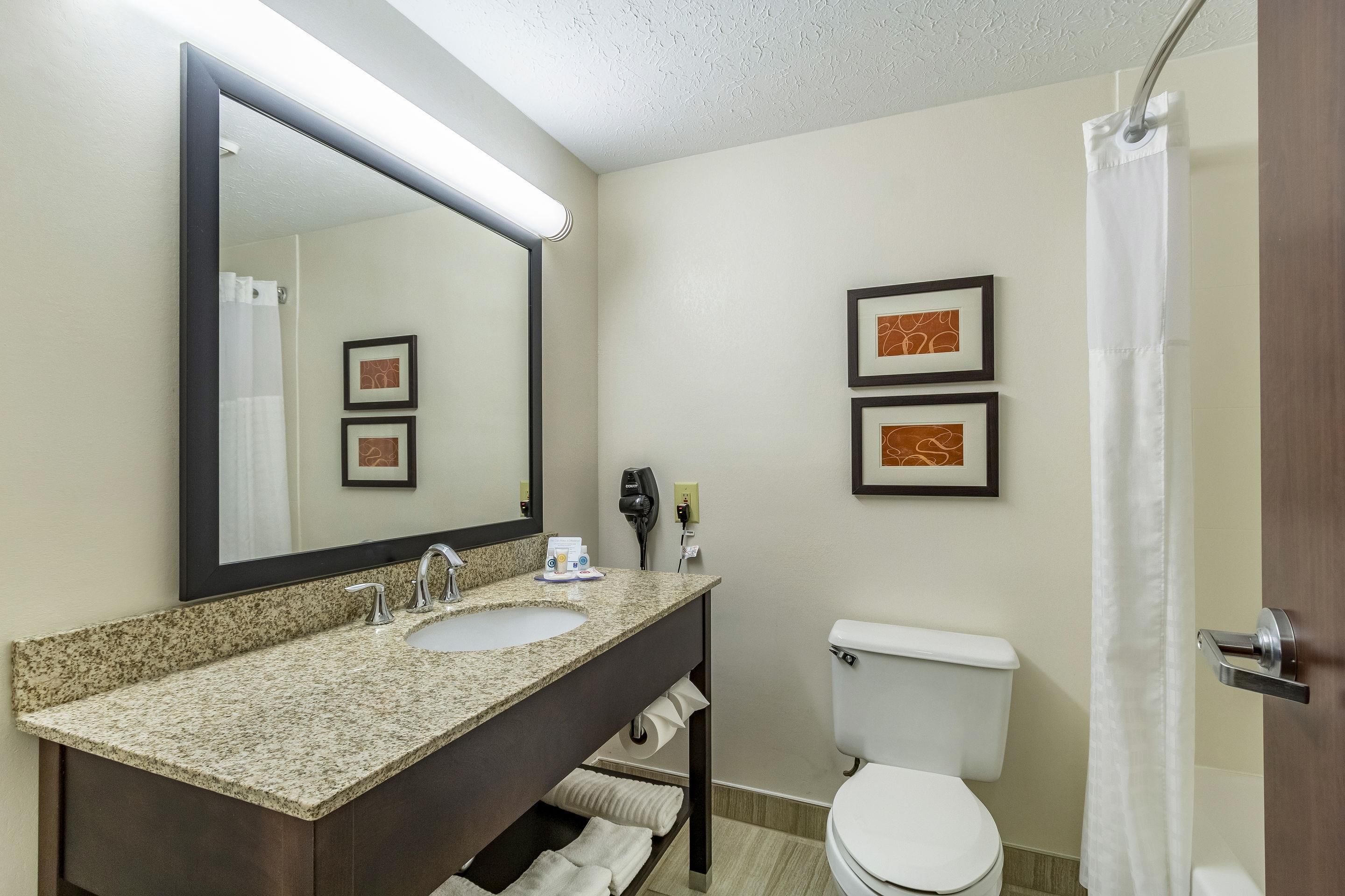 A bathroom with a granite countertop sink, a large mirror, two framed pictures on the wall, a toilet, and a shower curtain.