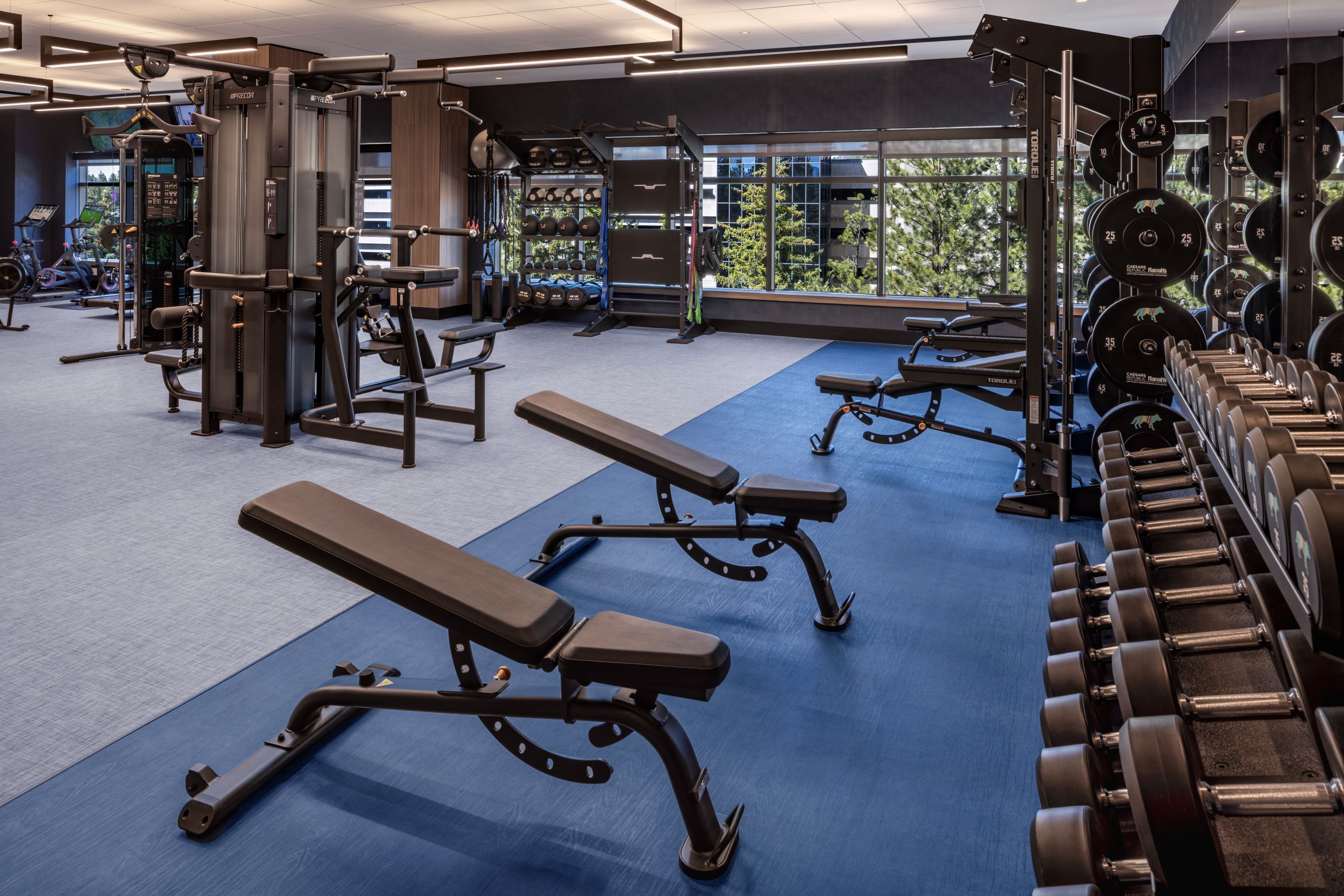 A gym with exercise benches, weightlifting equipment, and dumbbells.