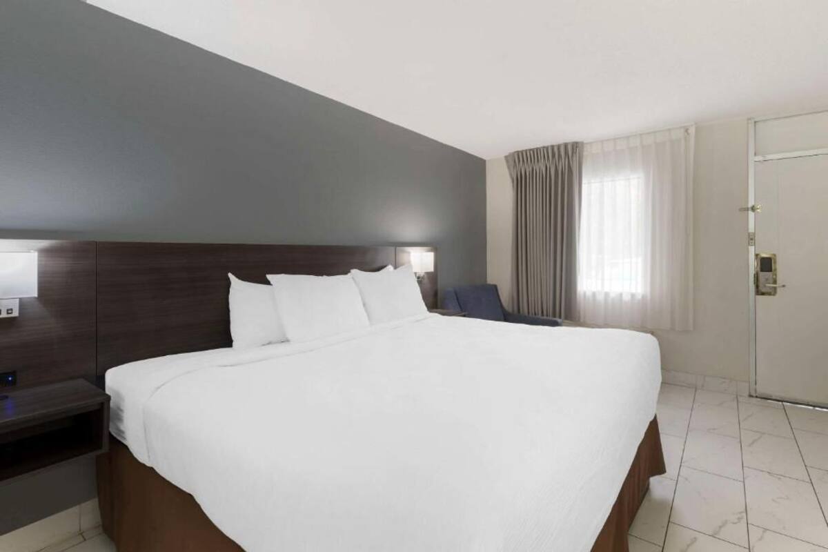 A hotel room with a large bed, a nightstand, a wall-mounted lamp, and a door with a handle.