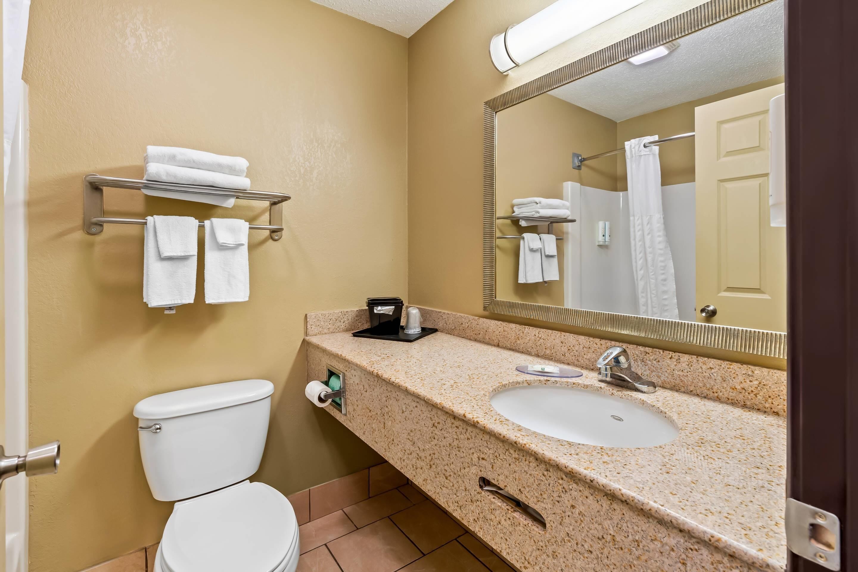 A bathroom with a toilet, sink, and towel rack.